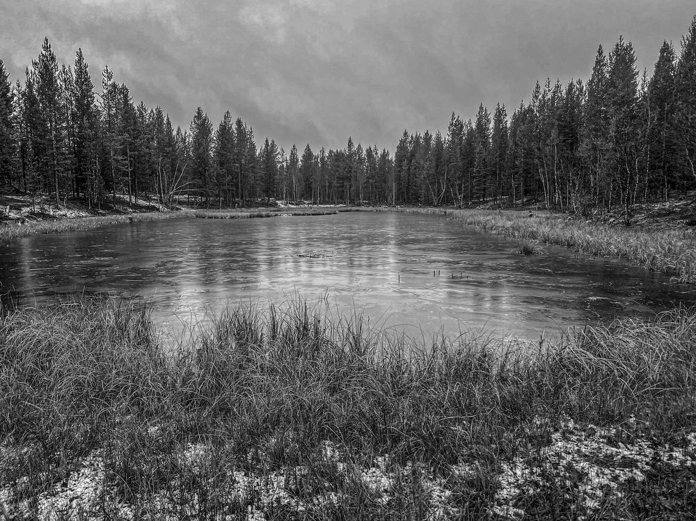 Photograph by Елена Данченко