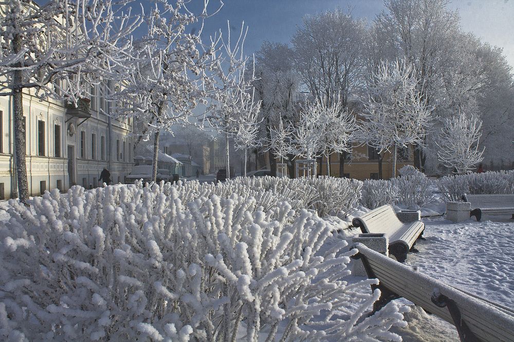 Морозный день.