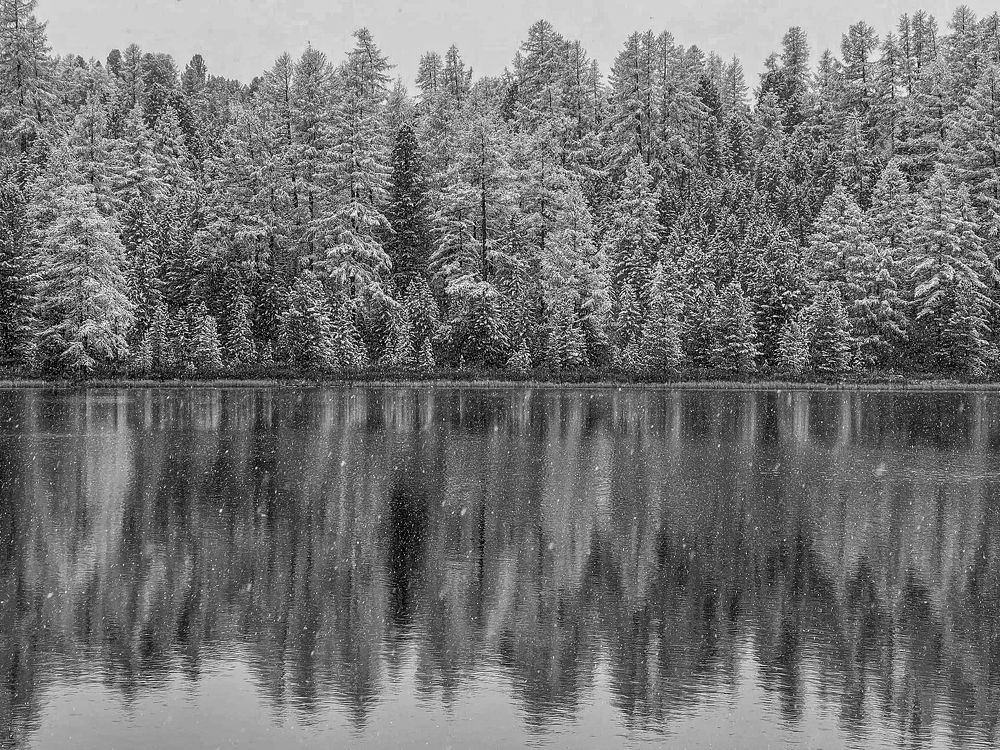 Photograph by Елена Данченко