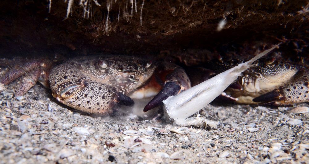 Photograph by Дмитрий Гацкан