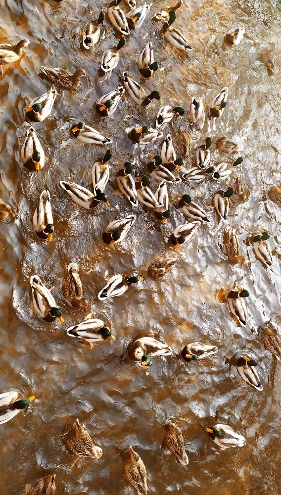 Photograph by Анна