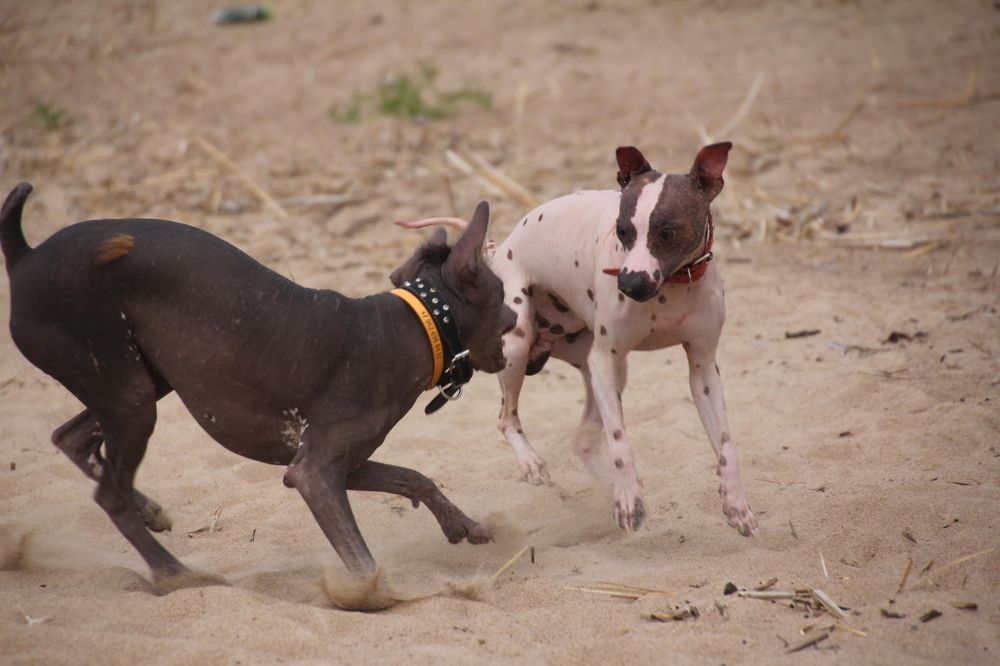 Photograph by Валерия Николаева