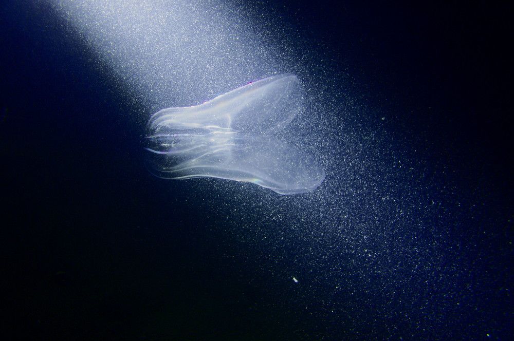 Photograph by Дмитрий Гацкан