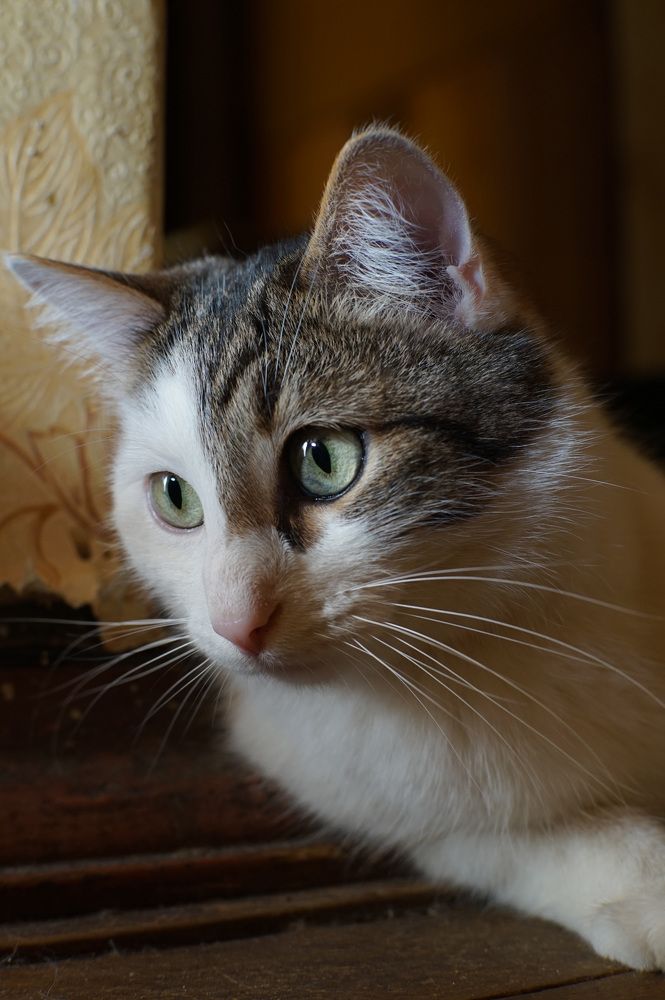 Photograph by Лена Максимкина