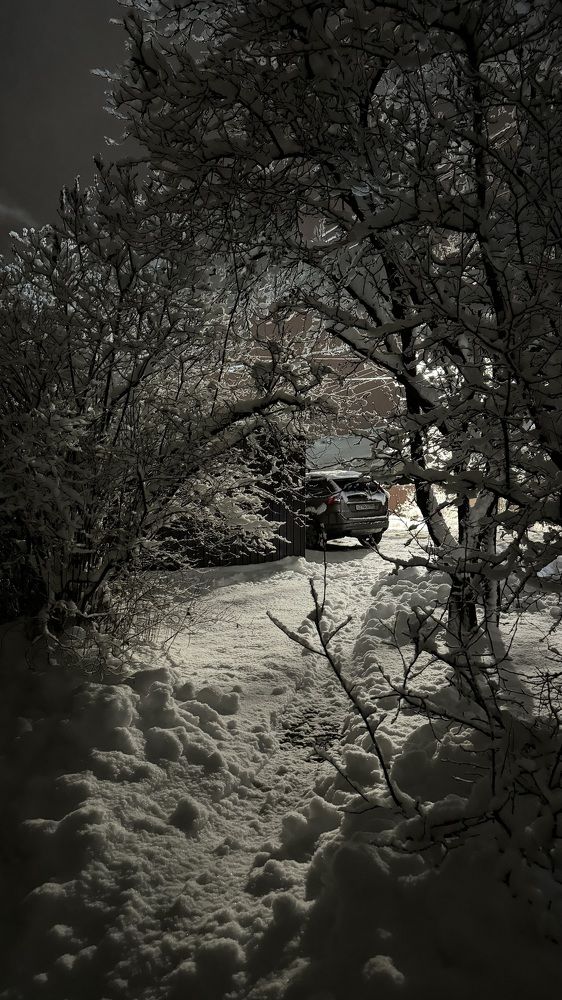 Photograph by Светлана Родионова