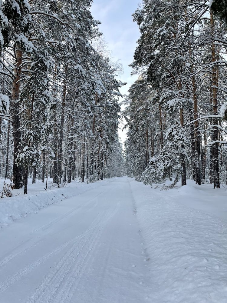 Photograph by Юлия Аксенчук