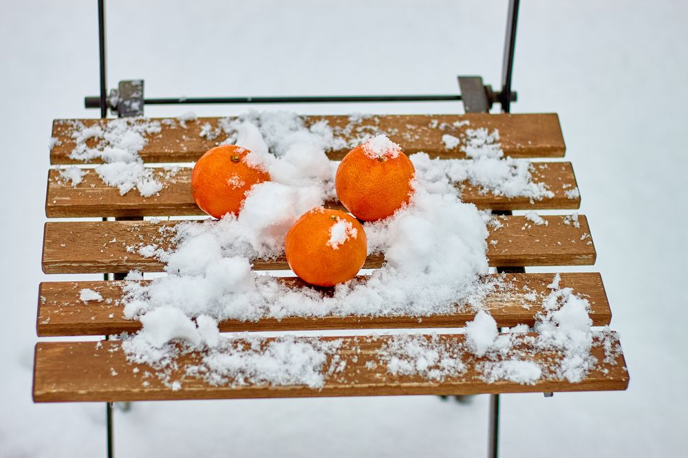 Photograph by Anders Gans