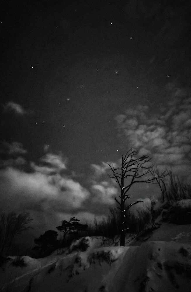 Photograph by PERESHEIN ANDREY