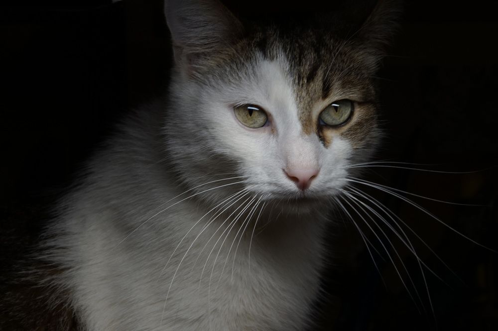 Photograph by Лена Максимкина