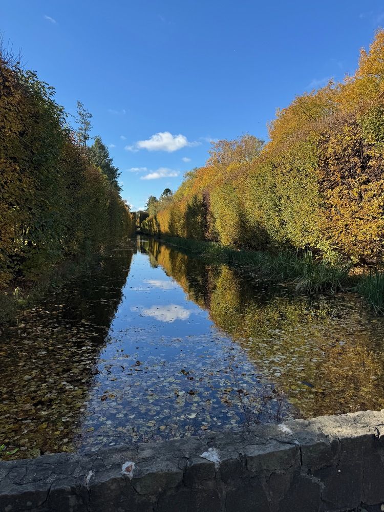 Photograph by Adi Shuster