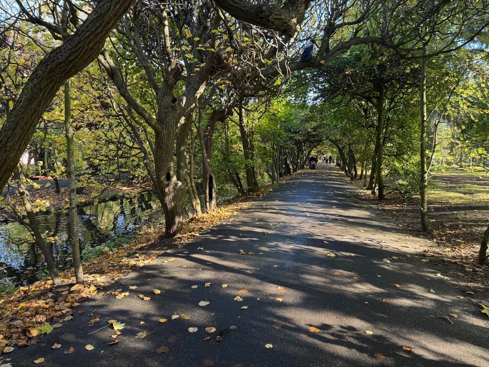 Photograph by Adi Shuster