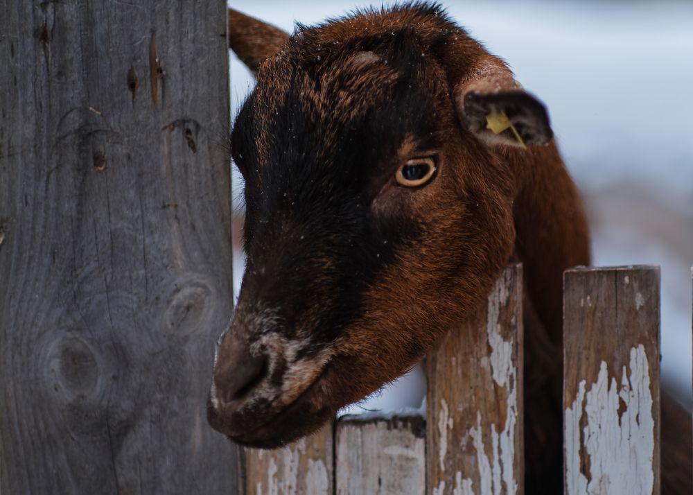 Photograph by Тамара Вотинцева