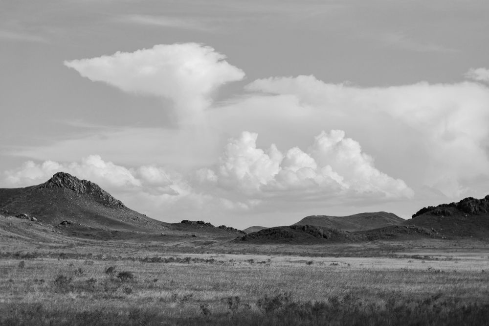 Photograph by Elena Kilina