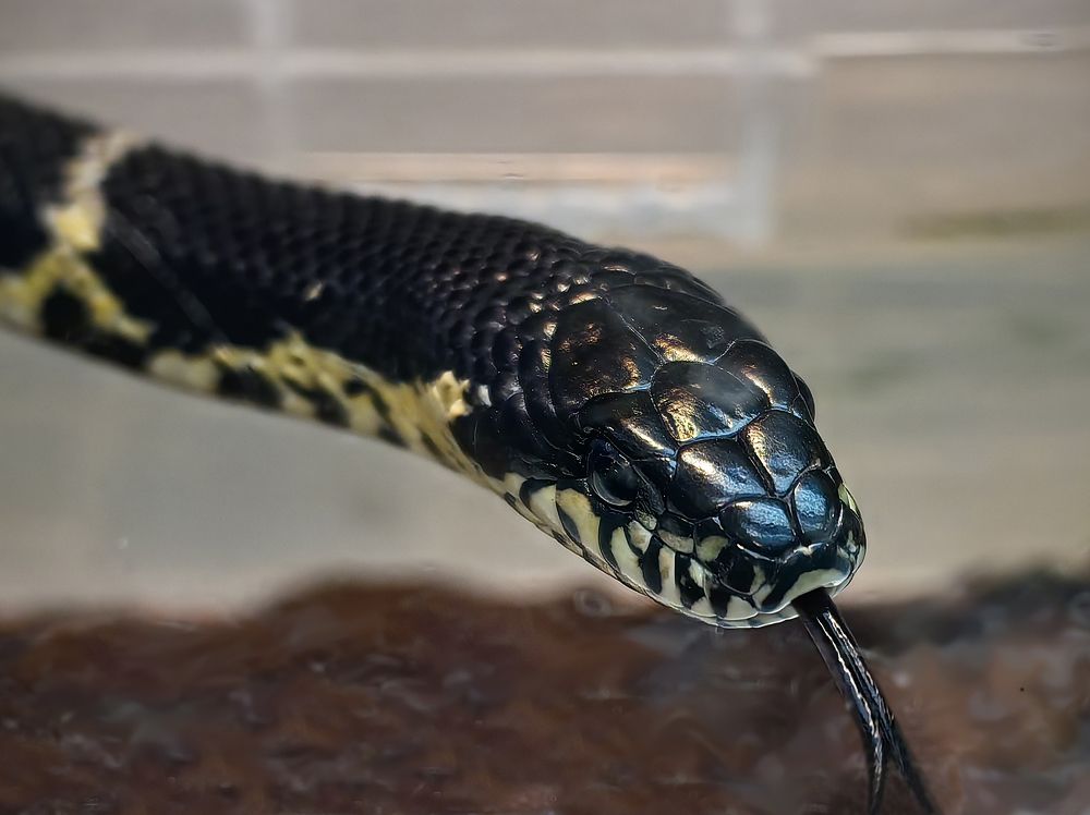 Фотография автора Кухта Мария