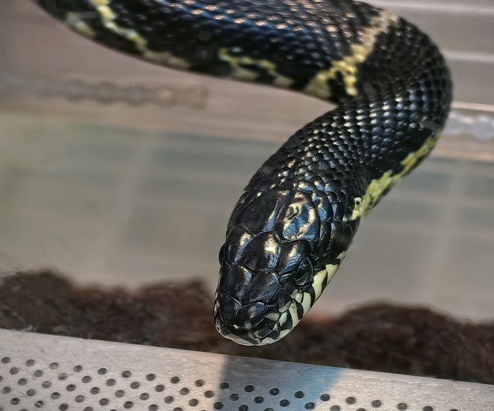 Фотография автора Кухта Мария