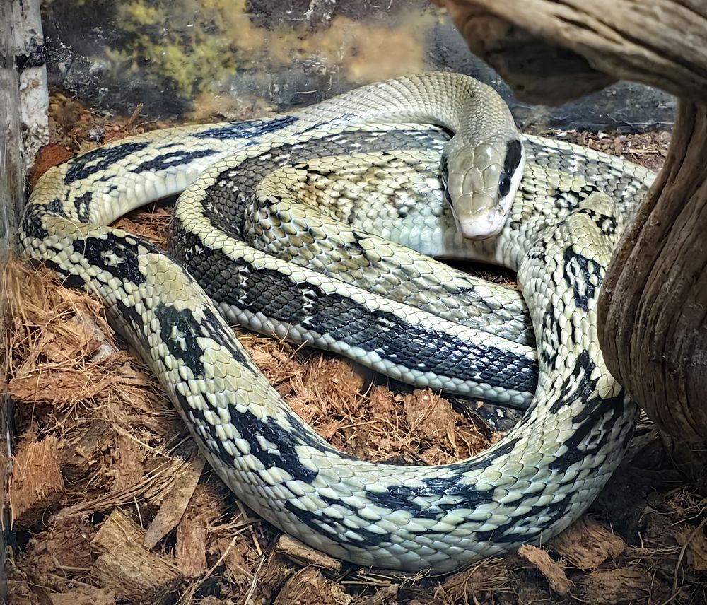 Фотография автора Кухта Мария