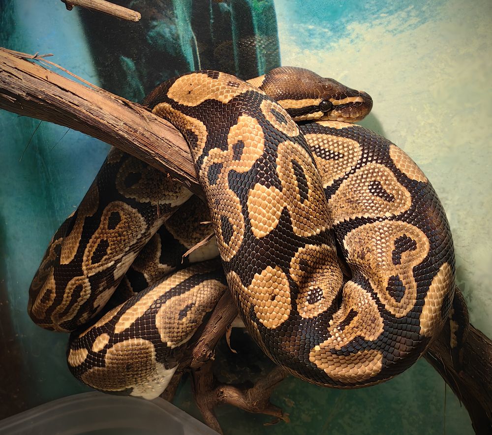 Фотография автора Кухта Мария