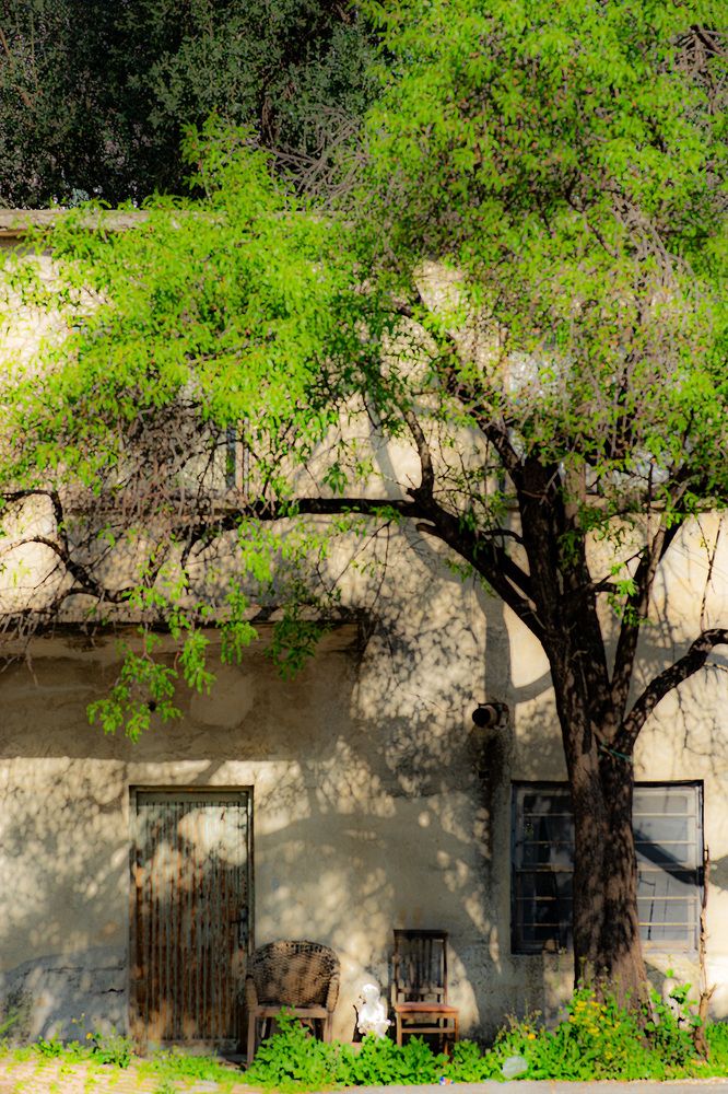 An Artistic Afternoon