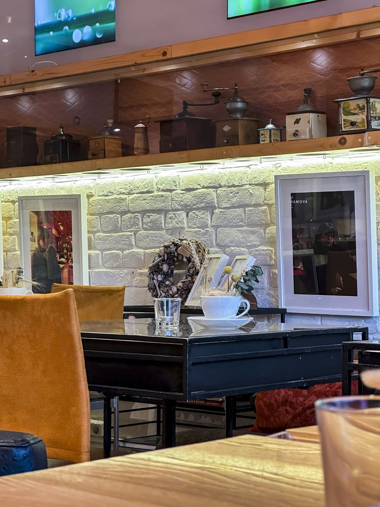 Фотография автора Dariya Olkhovskaya