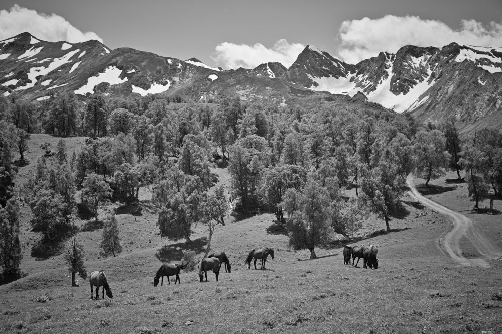 Photograph by Мария Кобыльченко