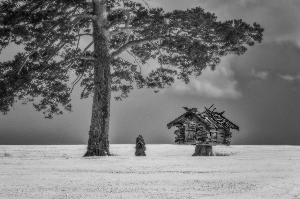 Фотография автора Марина Юдинских