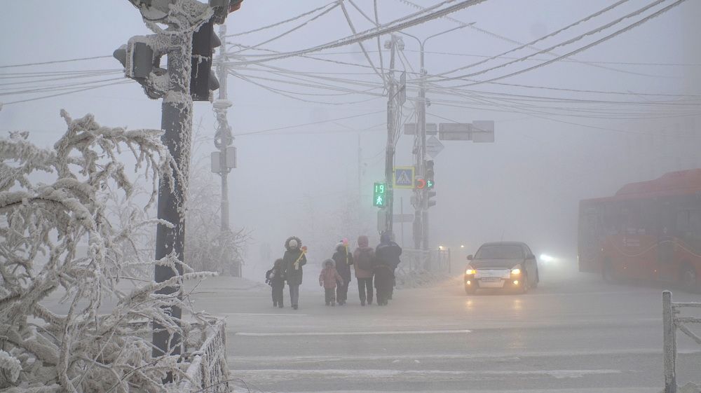 Photograph by Николай Алексеев