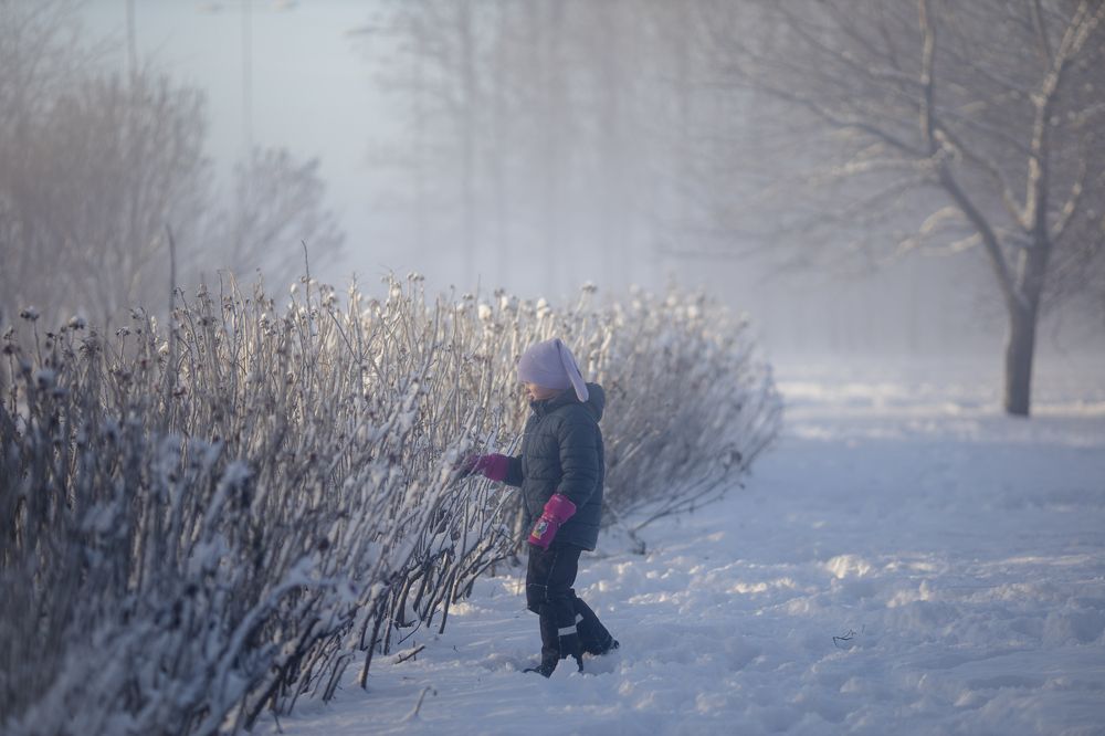Фотография автора Станислава Гордеева