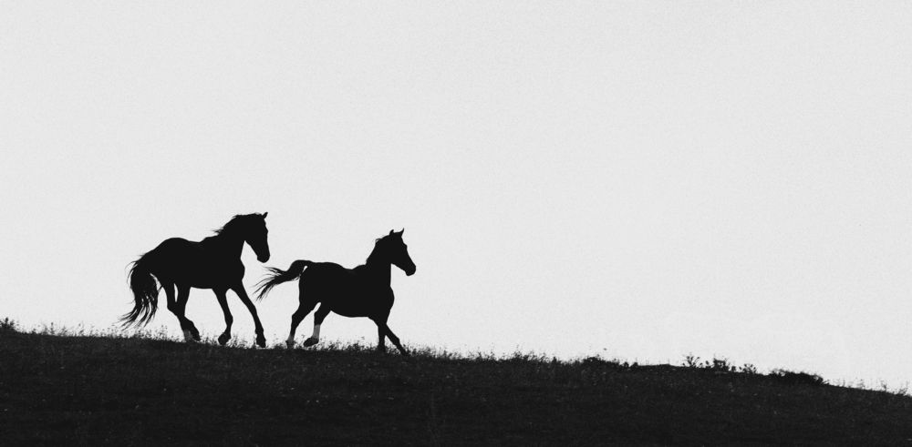 Фотография автора Владимир Широкий