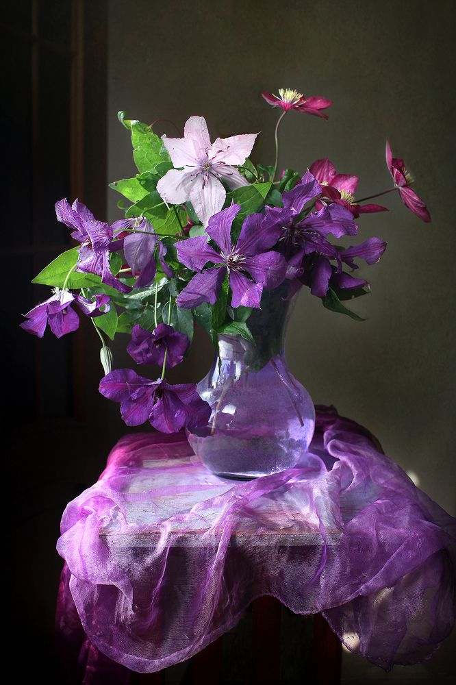 Натюрморт с клематисами