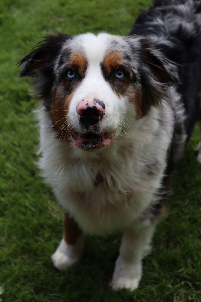 Фотография автора Victoria Vaigant