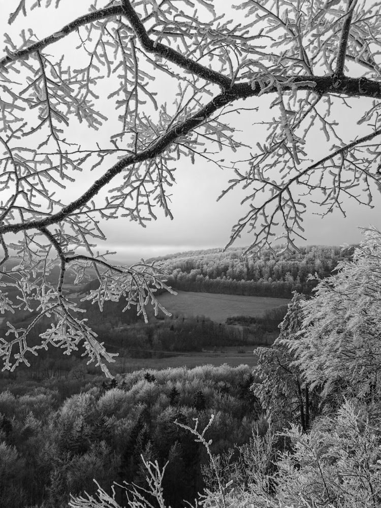 Photograph by Irina Tischer