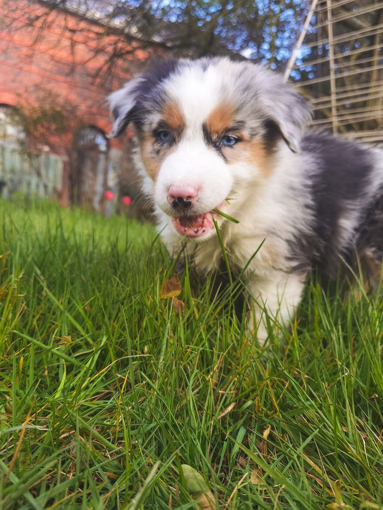 Фотография автора Victoria Vaigant