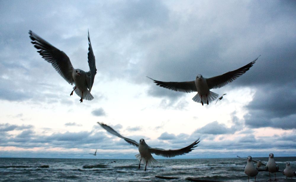 Балтийское море