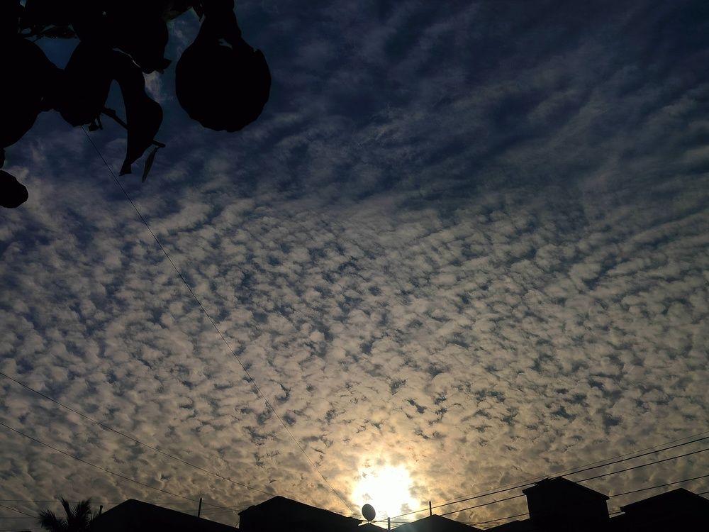 Photo #11606400