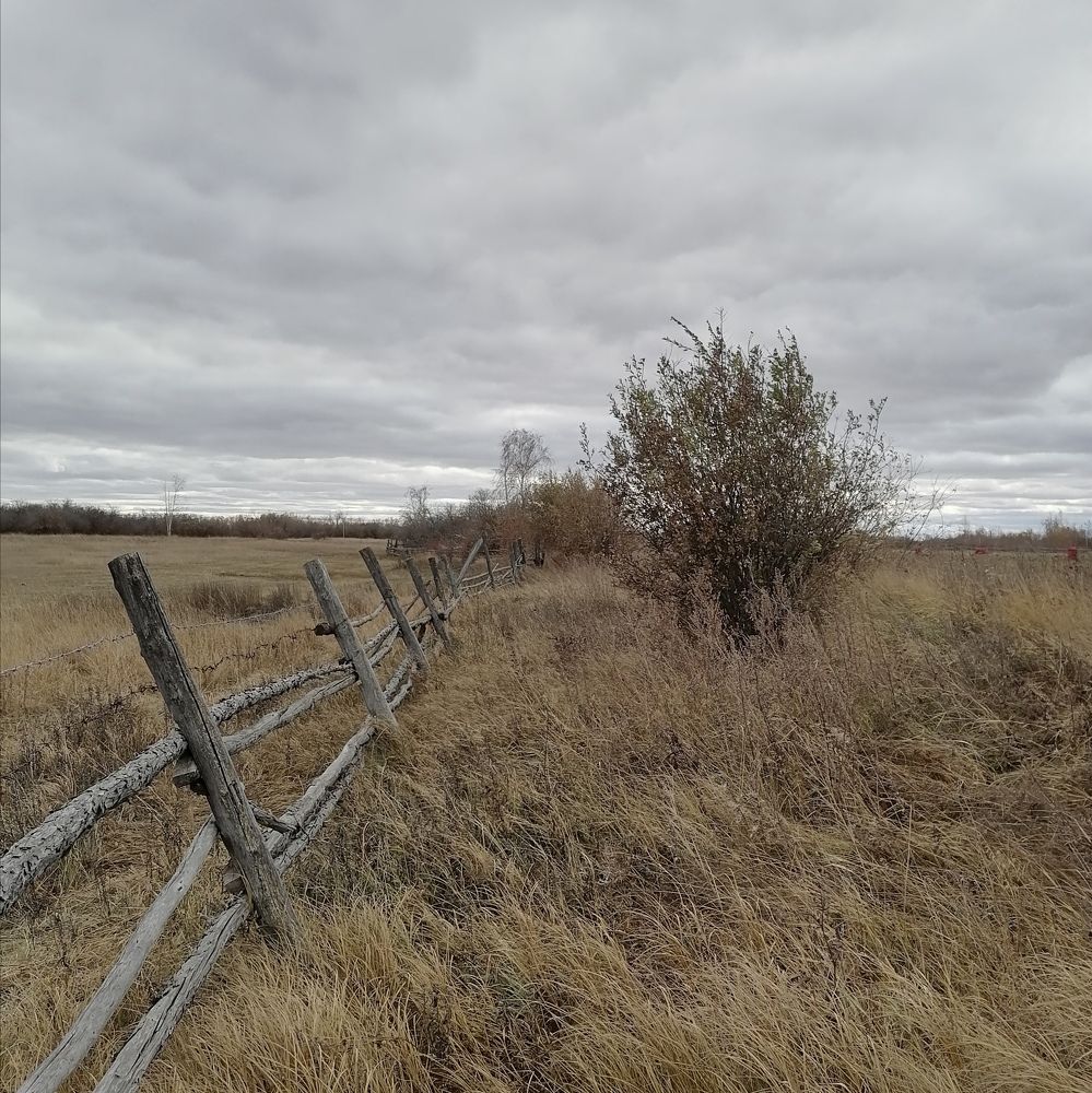 Photo #11606464