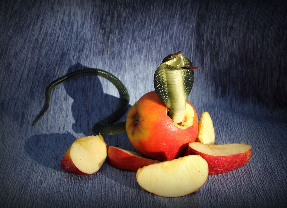 Фотография автора Кухта Мария