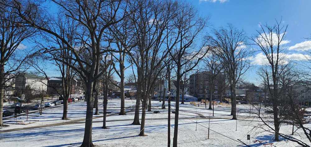 Фотография автора Adriana Rocha