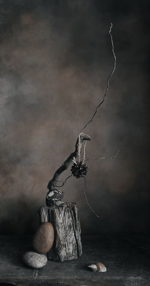 Photograph by Евсеева Валентина