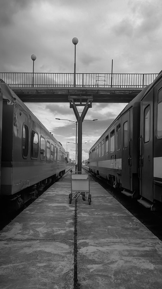 Photograph by mahdi ghanbari