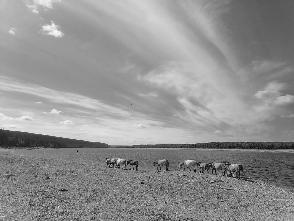 Photo #11606572