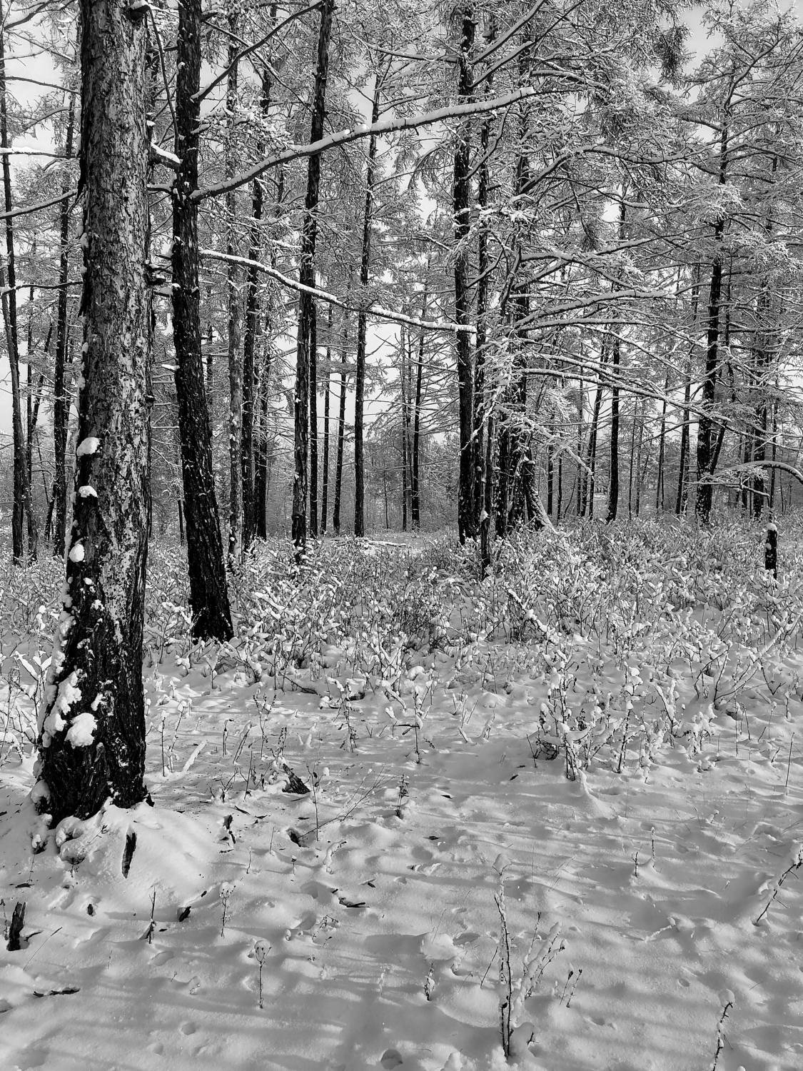 Photo #11606577