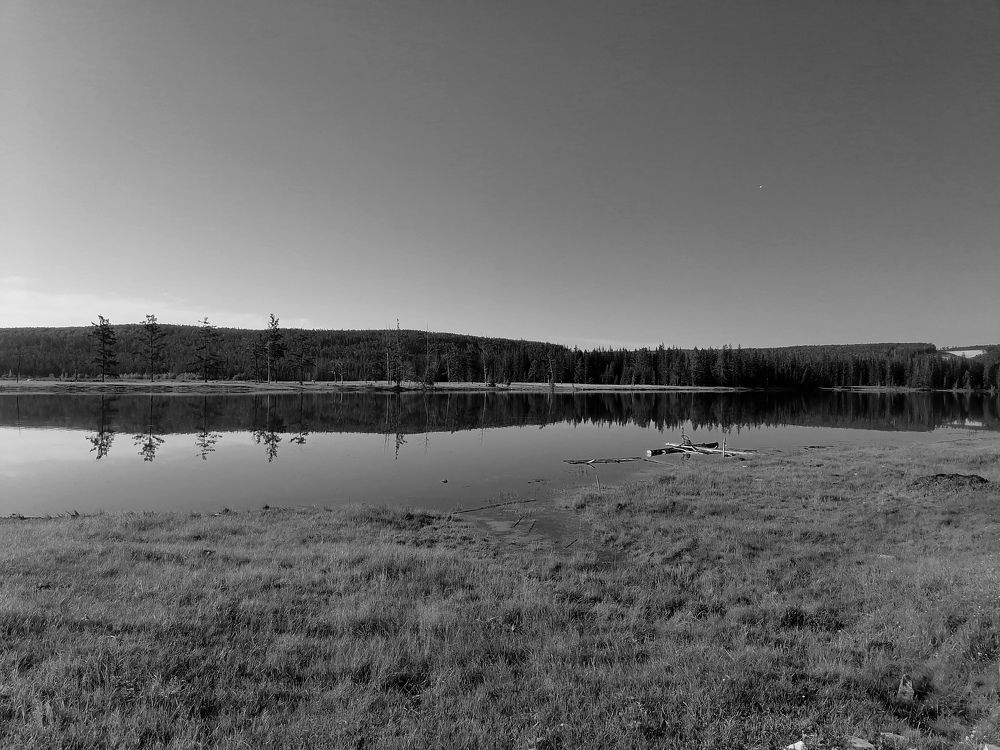 Photo #11606595