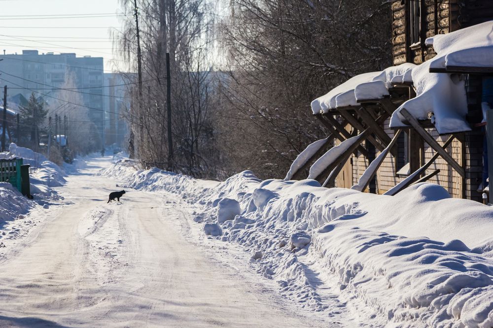 Photograph by Алексей Соколов