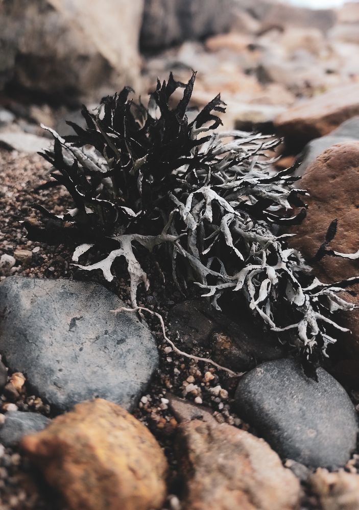 Photograph by BARBARA IVONNE MARTIN MILLAN