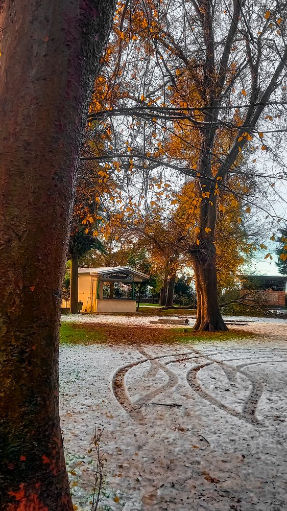 Photograph by mahdi ghanbari