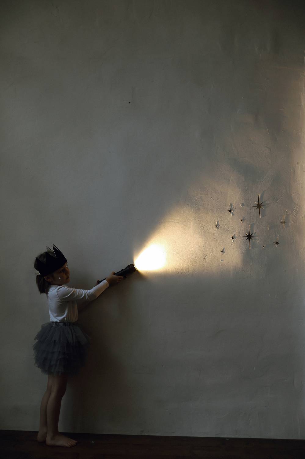 Photo #11606645