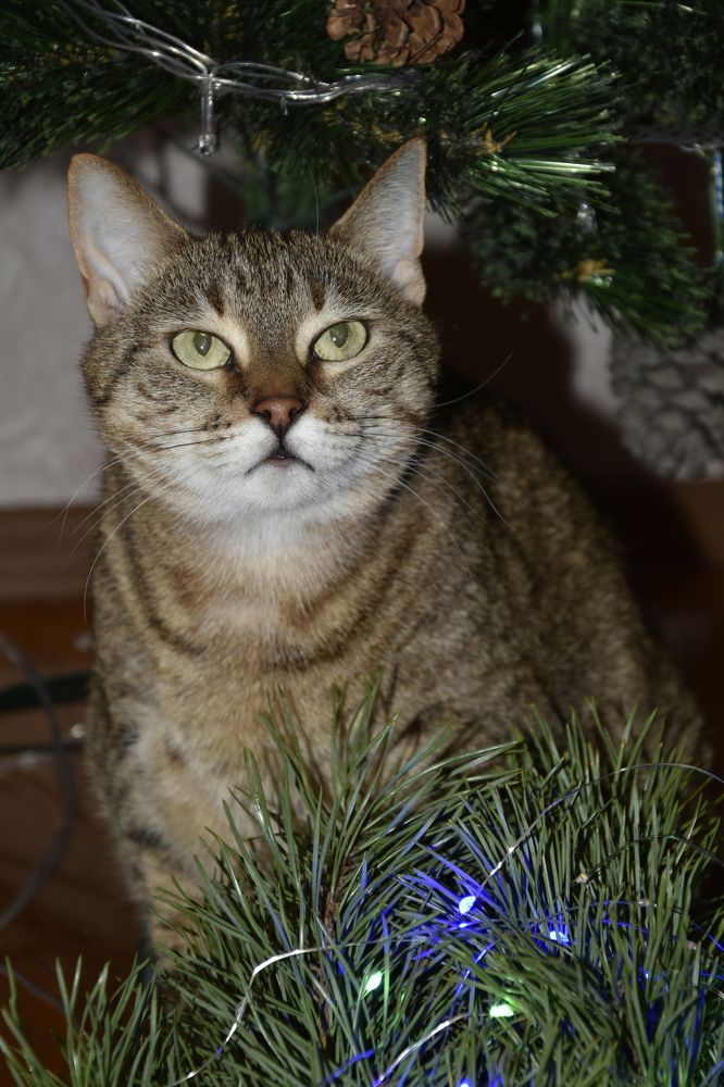 Photograph by Юлия Ю.