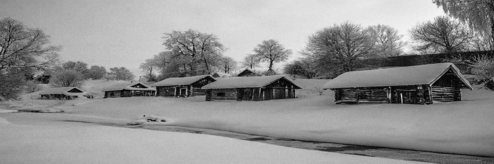 Photograph by Ольга