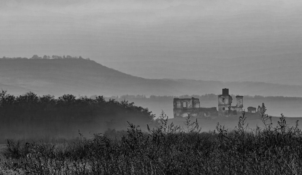 Photograph by Grădinaru Catalin