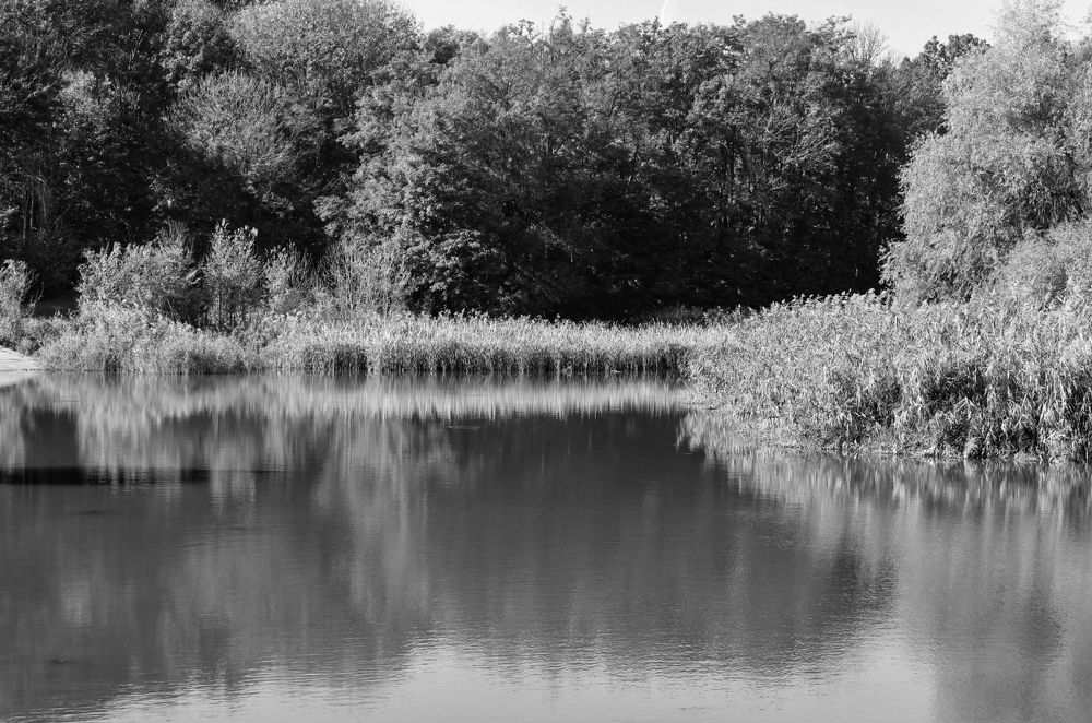 Photograph by Grădinaru Catalin